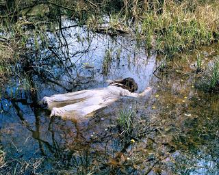 TODAS ELLAS BRUJAS, EN CENTROCENTRO