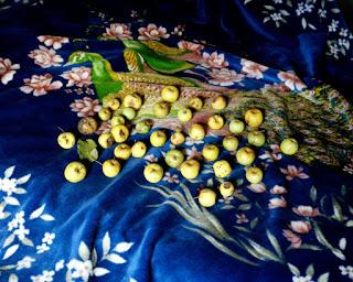 TODAS ELLAS BRUJAS, EN CENTROCENTRO