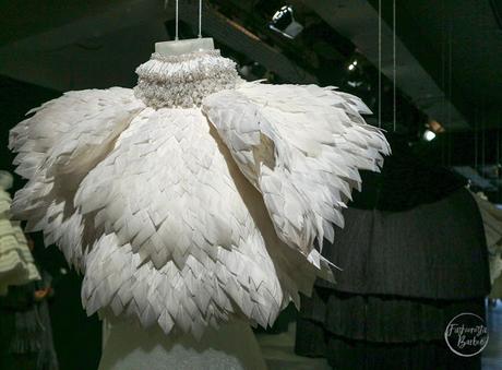 THE CAPE REIMAGINED