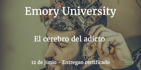 El cerebro del adicto – Curso online de la Universidad Emory