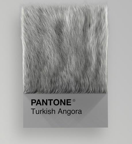 Las diferentes razas de gatos convertidas en colores Pantone