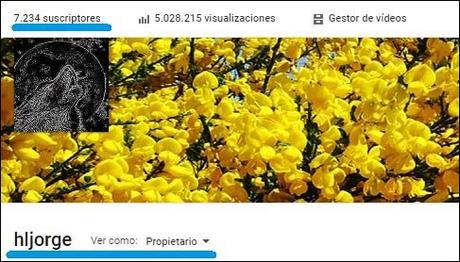 Humilde bloguero argentino sobrepasa las 5.000.000 de visitas en su YT