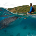 Moalboal: Mucho más que buceo