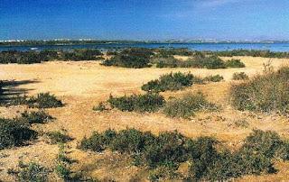 Lagunas de la Mata y Torrevieja (Alicante).