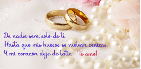 Anillos de matrimonio para una romántica postal de boda.