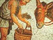 Asno oro-Apuleyo