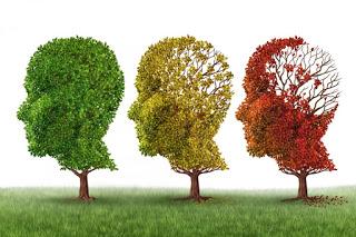 Asocian unas convulsiones silenciosas con los síntomas de Alzheimer
