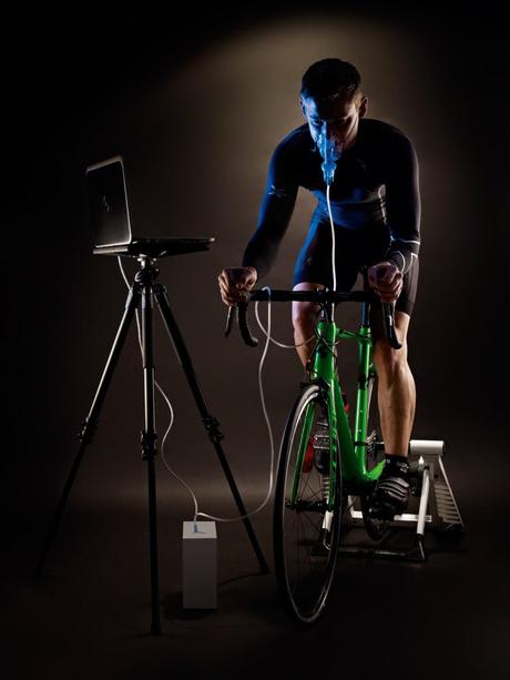 El zinc un elemento importante en la recuperación