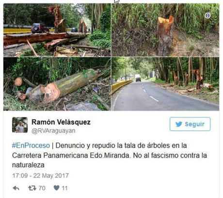 El mundo al revés: en Venezuela cortan árboles para ‘protestar’ #Venezuela #Cuba #CubaEsNuestra