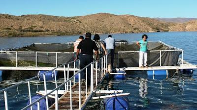 La acuicultura de Neuquén busca despegar con proyección exportadora