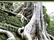 abismo verde manuel moyano