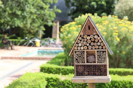 WHITE LACE WHITE LACE