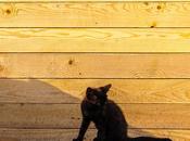 modos fusión Adobe Photoshop secretos (III)