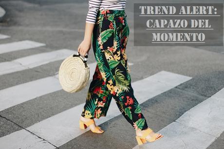 Trend Alert: Capazos Trend Alert: Capazos