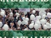 Hundiendo sanidad andalucía