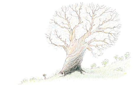 Bertolt: Una tierna historia ilustrada sobre el amor, la soledad y la pérdida