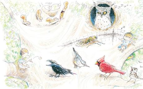 Bertolt: Una tierna historia ilustrada sobre el amor, la soledad y la pérdida