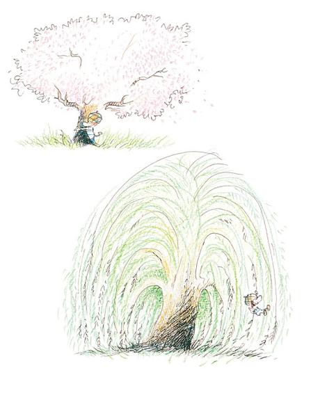 Bertolt: Una tierna historia ilustrada sobre el amor, la soledad y la pérdida