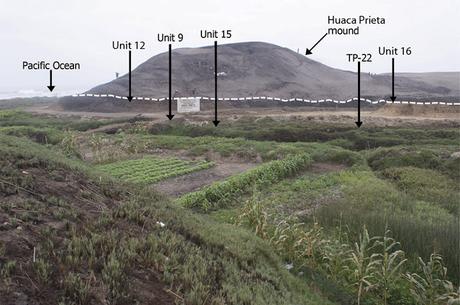 El montículo de Huaca Prieta situado en la Terraza de Sangamon. Las flechas indican los diversos hallazgos.