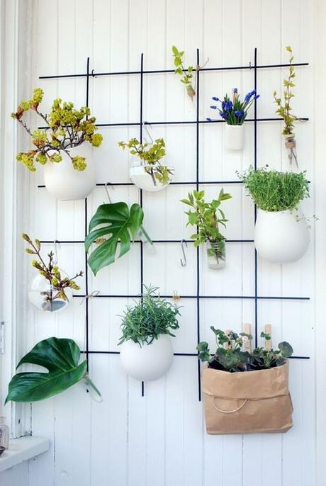 Decorar con flores y plantas