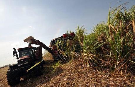 Cuba crece producción de azúcar e incumple sus planes