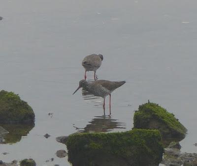 Cerrando la migración