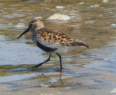 Cerrando la migración
