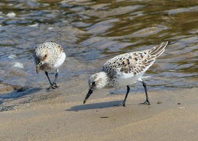 Cerrando la migración