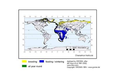Cerrando la migración