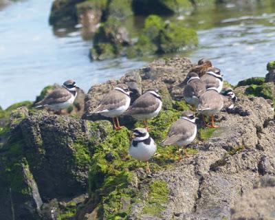 Cerrando la migración