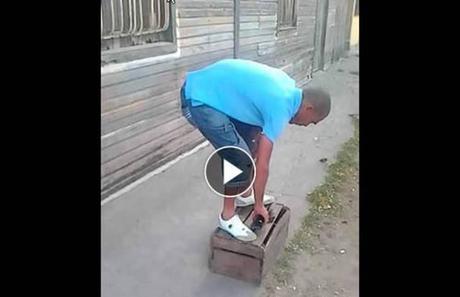 Manzanillo, entre perros, gatos y hasta mariposas #Cuba #CubaEsNuestra