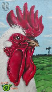 Más de cien especies de aves en más de cien parques de Madrid