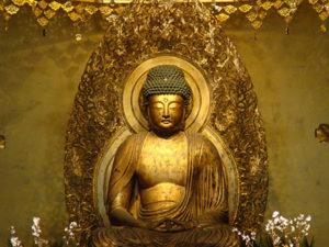 La confusión es Buda. Practica la Vacuidad. (La vida es dura 5 / 7)