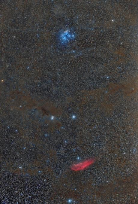 ✨Desde las Pléyades hasta California