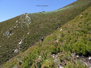 Ribota-Felguera-Doñango-La Collá Pelúgano-La Pandiella-Los Casares-Texera-Campa Perugues-La Güeya Carbayal