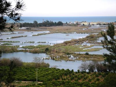 El Marjal de Almenara por fin en el Convenio de Ramsar