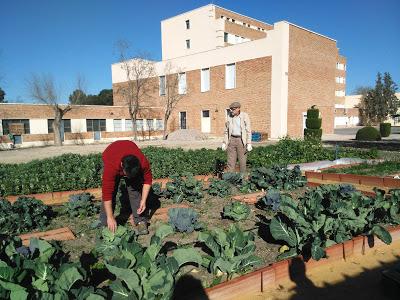 Jornadas de trabajo en el EcoHuerto de Abril a Mayo