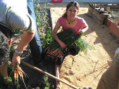 Jornadas de trabajo en el EcoHuerto de Abril a Mayo