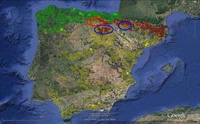 Víboras mediterráneas (hocicuda y áspid), zonas de contacto e hibridación