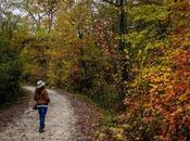 paseo