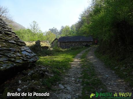 Braña de la Pasada, Cangas del Narcea