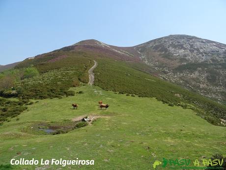 Collado la Folgueirosa