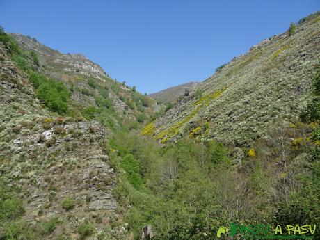 Valle del Arroyo de la Braña subiendo a la Braña la Folgueirosa
