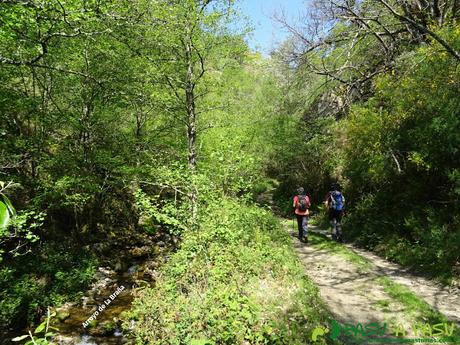 Camino junto al Arroyo de la Braña