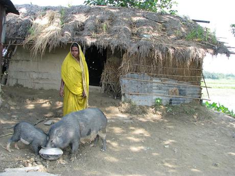 Concentración Riqueza y Miseria. Una aldeana pobre de Bangladesh, Todas Las Sombras, Francisc Lozano, http://todaslassombras.blogspot.com/2017/05/concentracion-riqueza-y-miseria.html