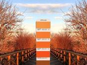 Este diseñador gráfico explora mundo través colores Pantone