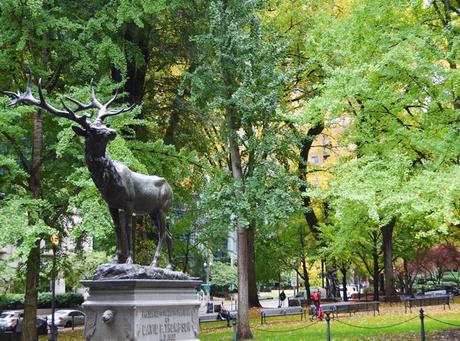 Portland: Más Otoño y más Bosque