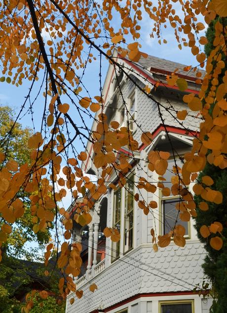 Portland: Más Otoño y más Bosque