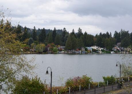 Portland: Más Otoño y más Bosque