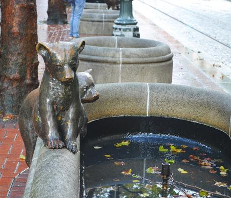 Portland: Más Otoño y más Bosque